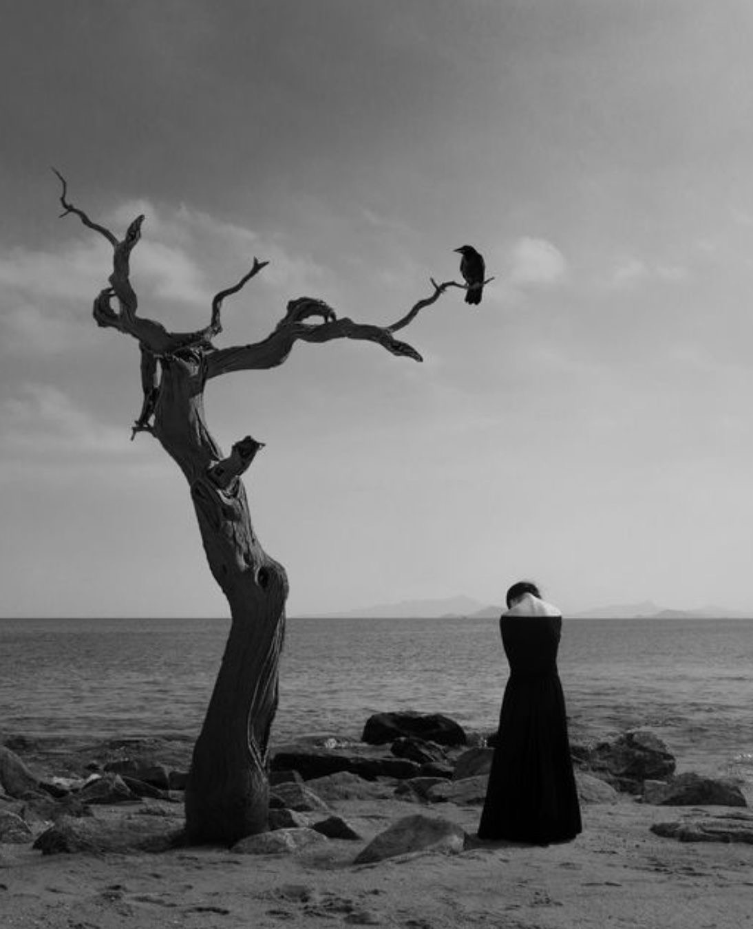 احساس گناه در مهاجرت