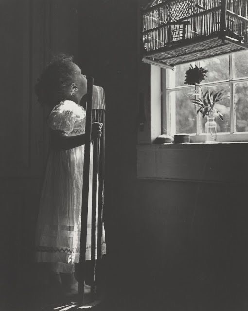 مادر مهاجرت