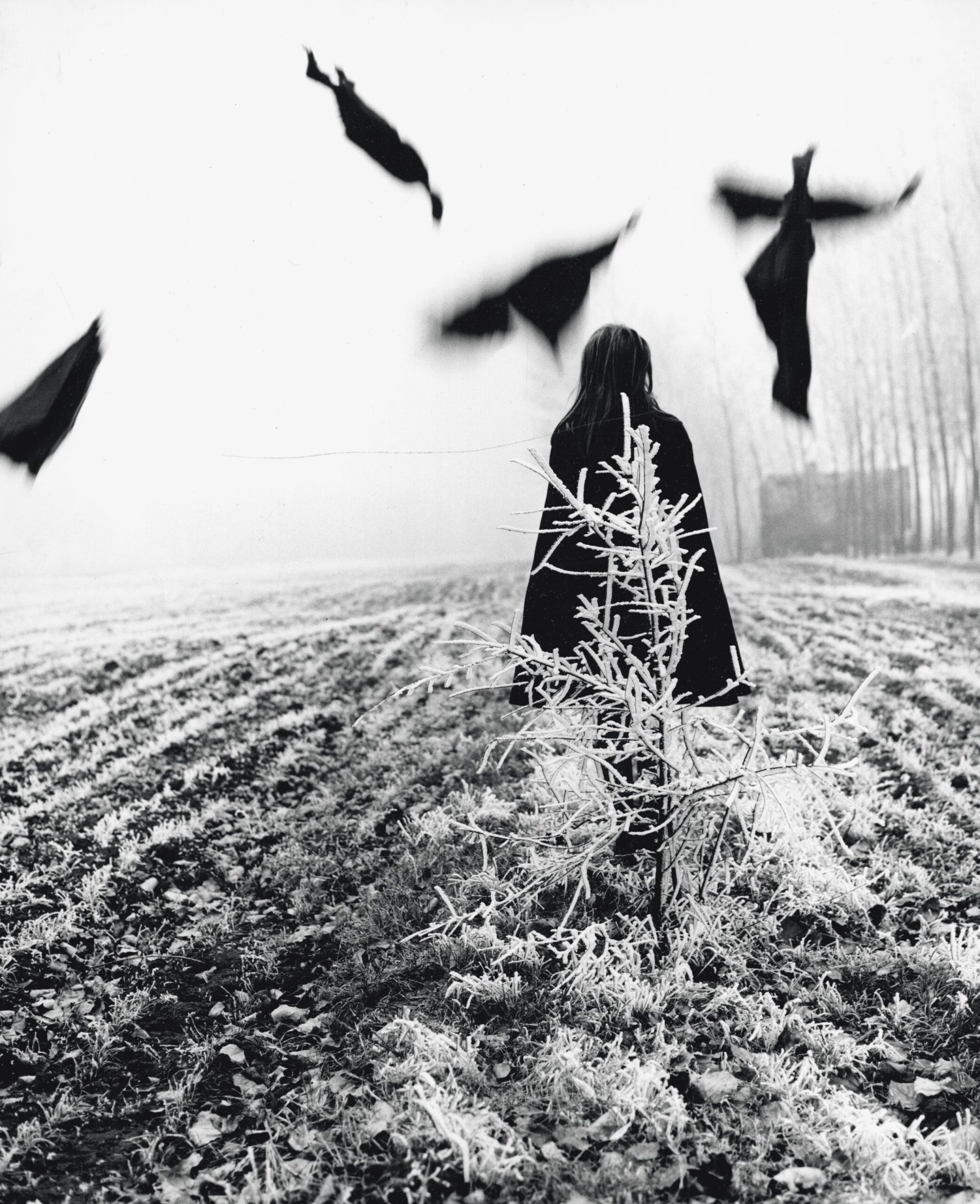 ابعاد بهنجار و نابهنجار مهاجرت