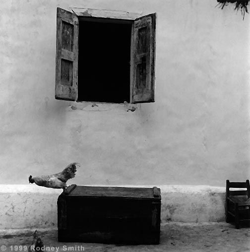 مهاجرت اجباری