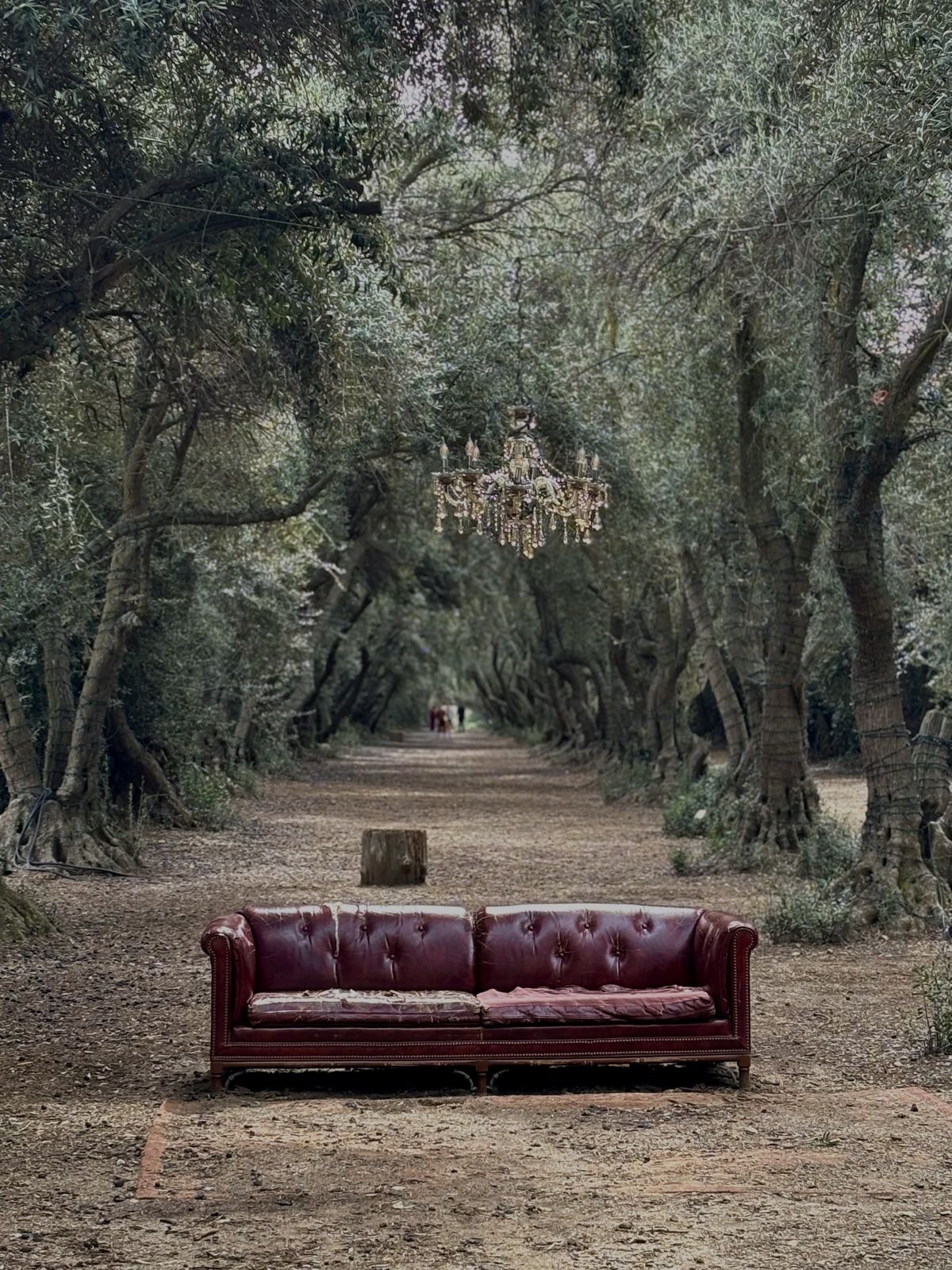 درمانگر تحلیلی مهاجر