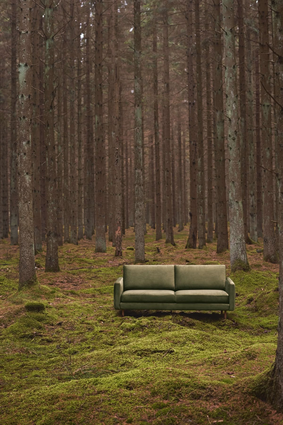 درمانگر تحلیلی مهاجر